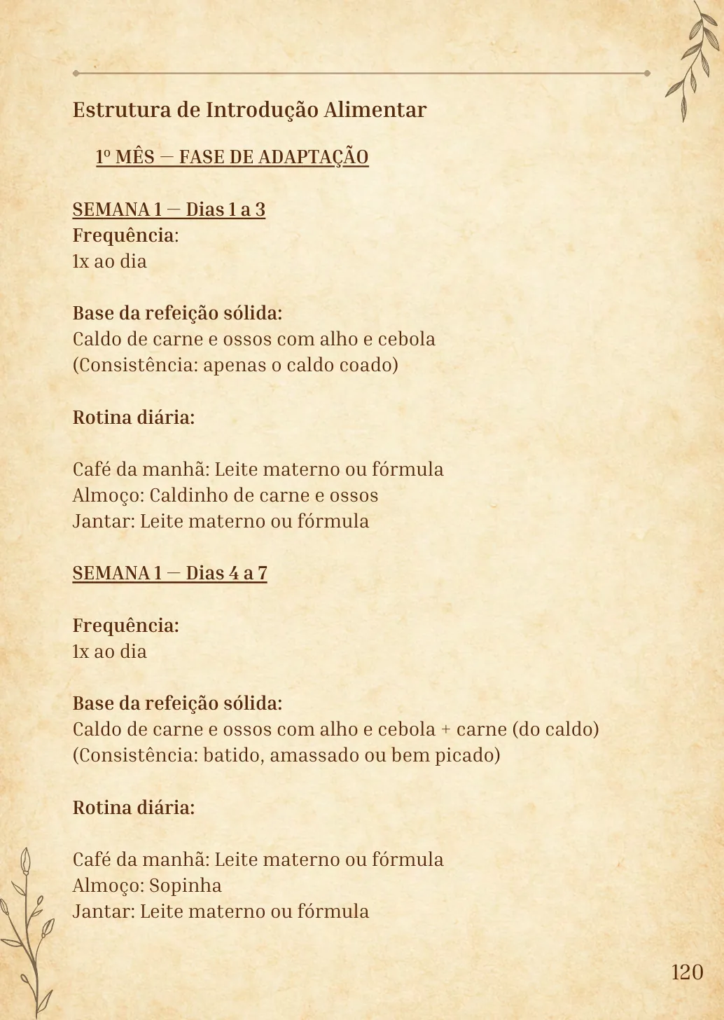 Página prática: estrutura da introdução alimentar no primeiro mês