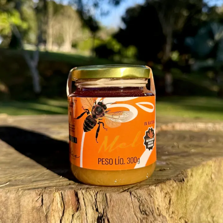 Mel In Natura 300 g