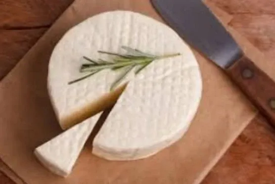 Cremoris – Laticínio Gourmet