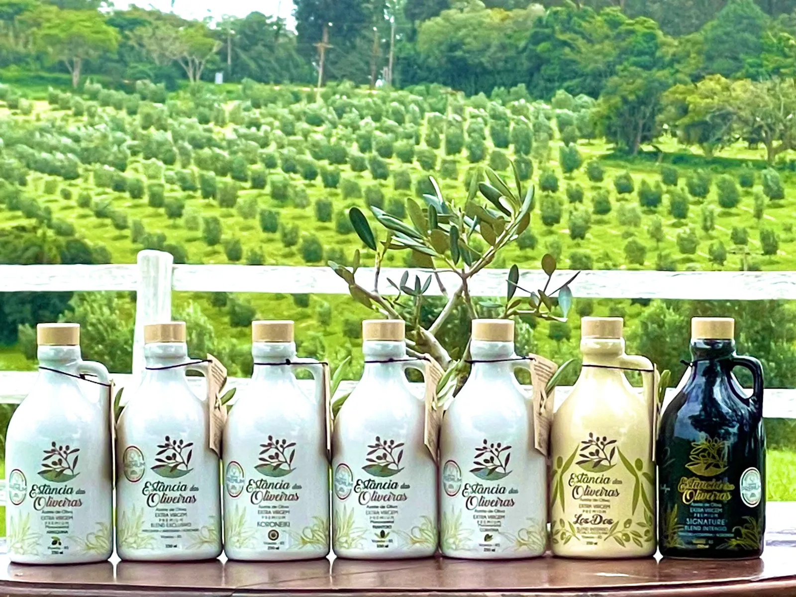 Estância das Oliveiras