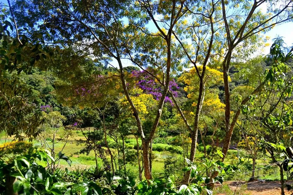 Sítio Cultivar